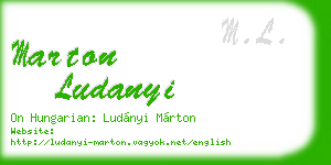 marton ludanyi business card