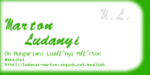 marton ludanyi business card